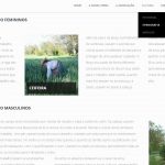 Rancho Folclórico e Etnográfico de Eira Pedrinha | Website